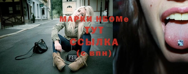 мдпв Галич