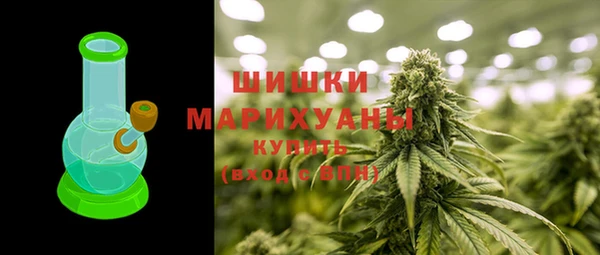 стафф Богданович