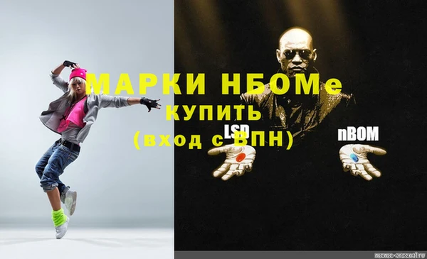 стафф Богданович