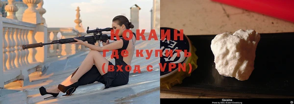 мдпв Галич