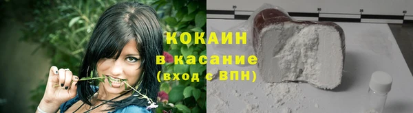 стафф Богданович