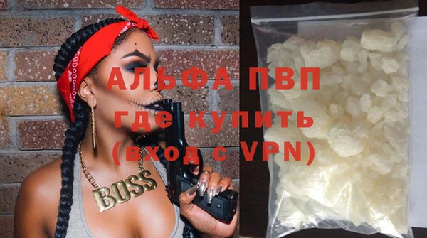 стафф Богданович
