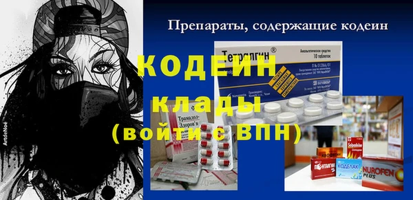 мдпв Галич
