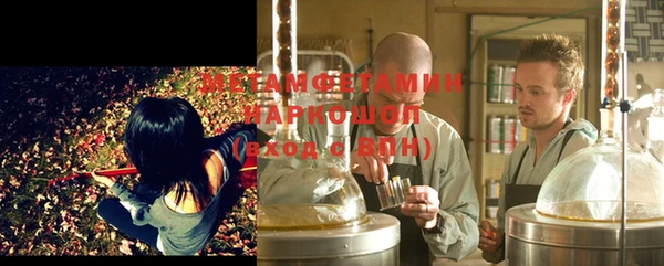 твердый Гатчина