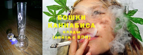 стафф Богданович