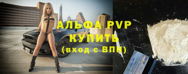 стафф Богданович