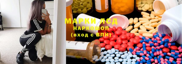 твердый Гатчина