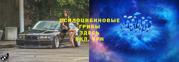 стафф Богданович
